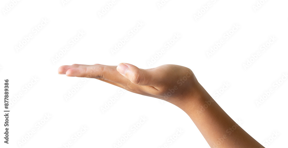 Hand gestures present something isolated on white Hand gestures present something isolated on white