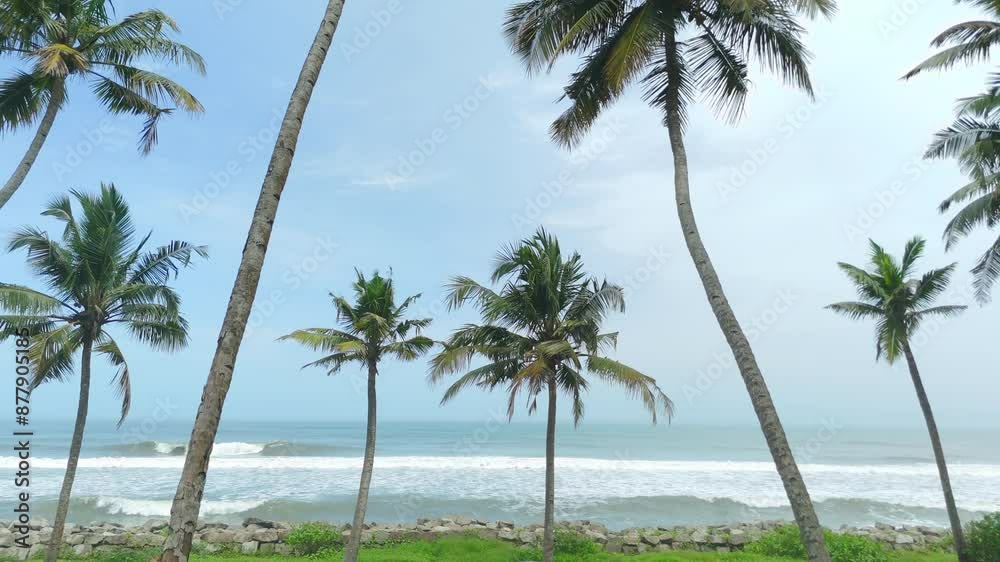 Tropical white sand beach in kerala with coconut palm tree