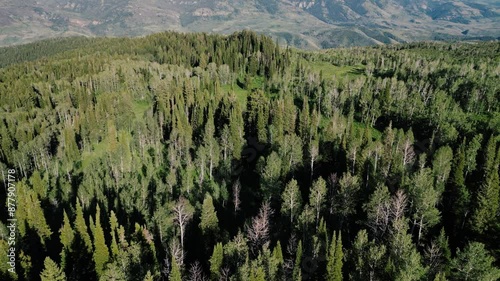 Mountain forest sunset aerial elevation view