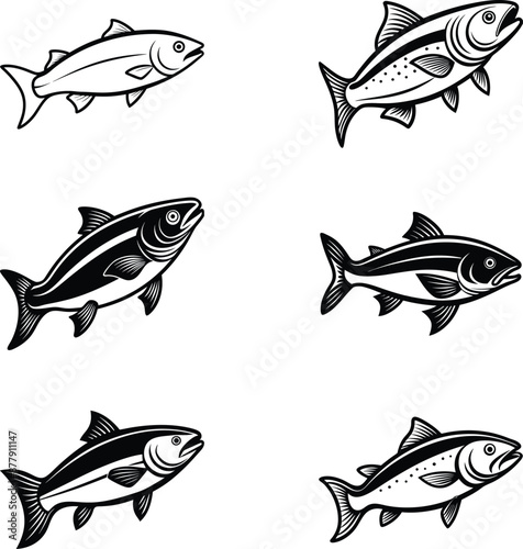 A set of black and white salmon fish drawing