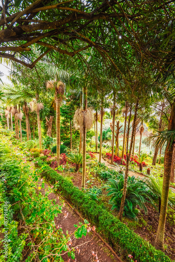 Fototapeta premium Monte Palace, Tropical Garden with Waterfalls, Lakes and traditional buildings above the city of Funchal