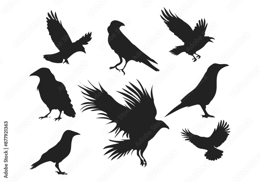 Obraz premium set of silhouettes of crow
