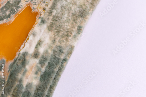 Slices of moldy yellow cheese arranged on a bamboo cutting board. Green mold spores on food. Expired wasted food