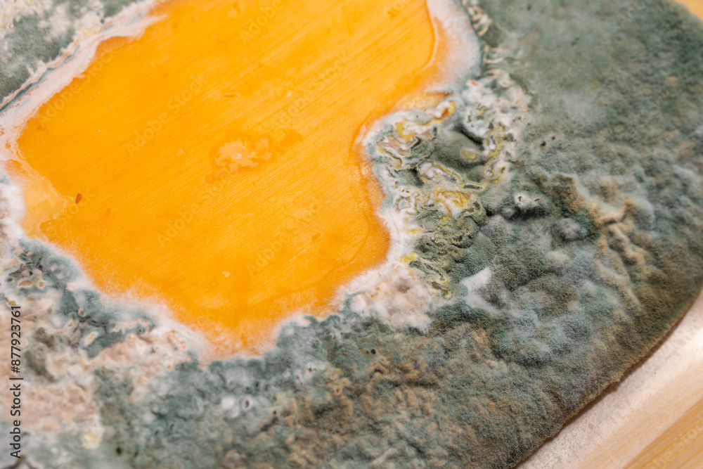 Slices of moldy yellow cheese arranged on a bamboo cutting board. Green mold spores on food. Expired wasted food