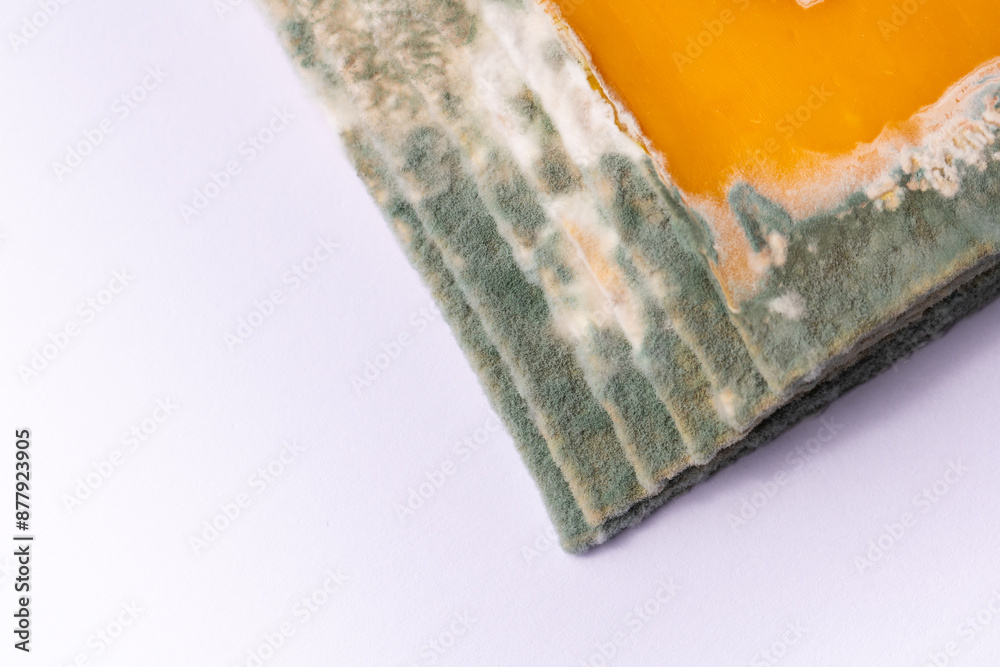Slices of moldy yellow cheese arranged on a bamboo cutting board. Green mold spores on food. Expired wasted food