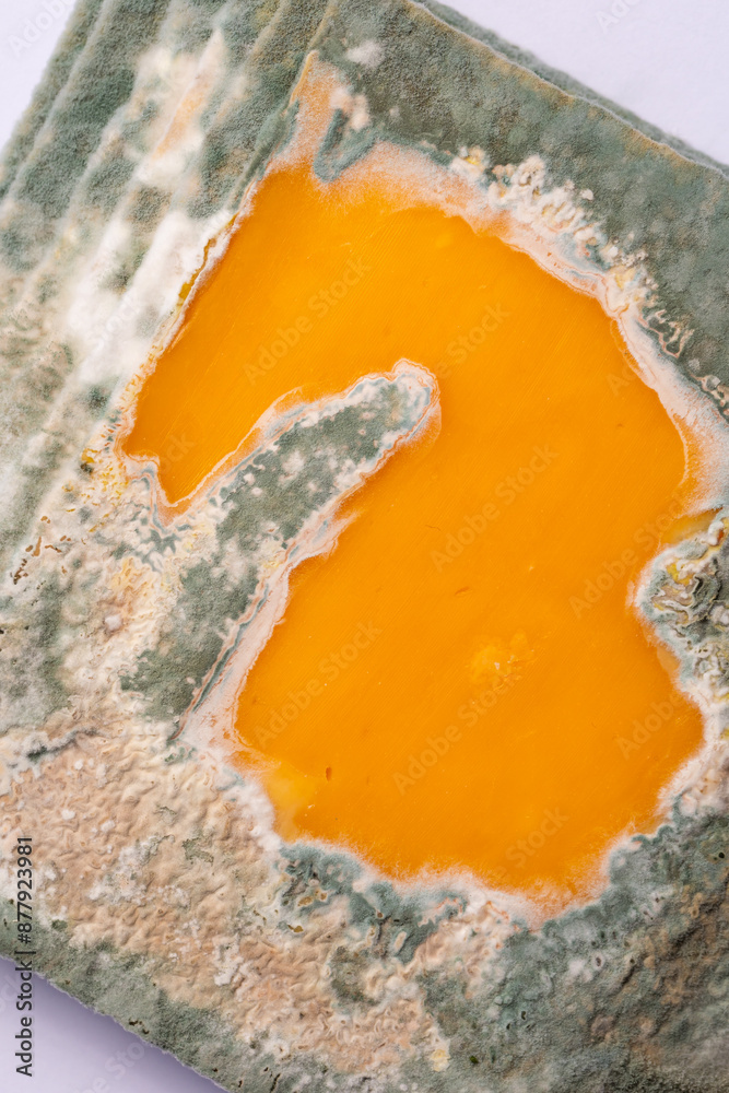 Slices of moldy yellow cheese arranged on a bamboo cutting board. Green mold spores on food. Expired wasted food