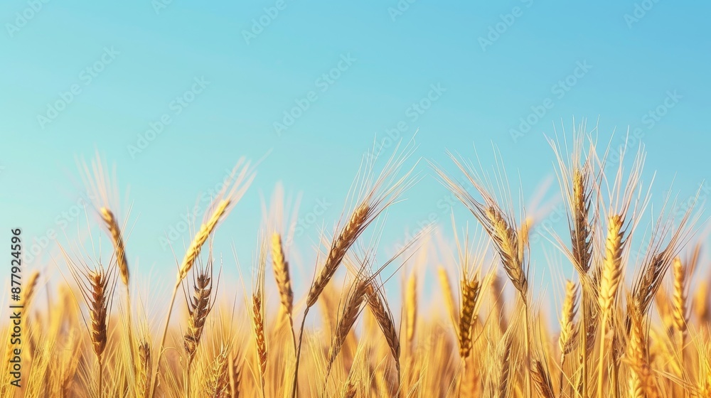 Grain Texture Background for Presentation Generative AI Grain Texture Background for Presentation Generative AI