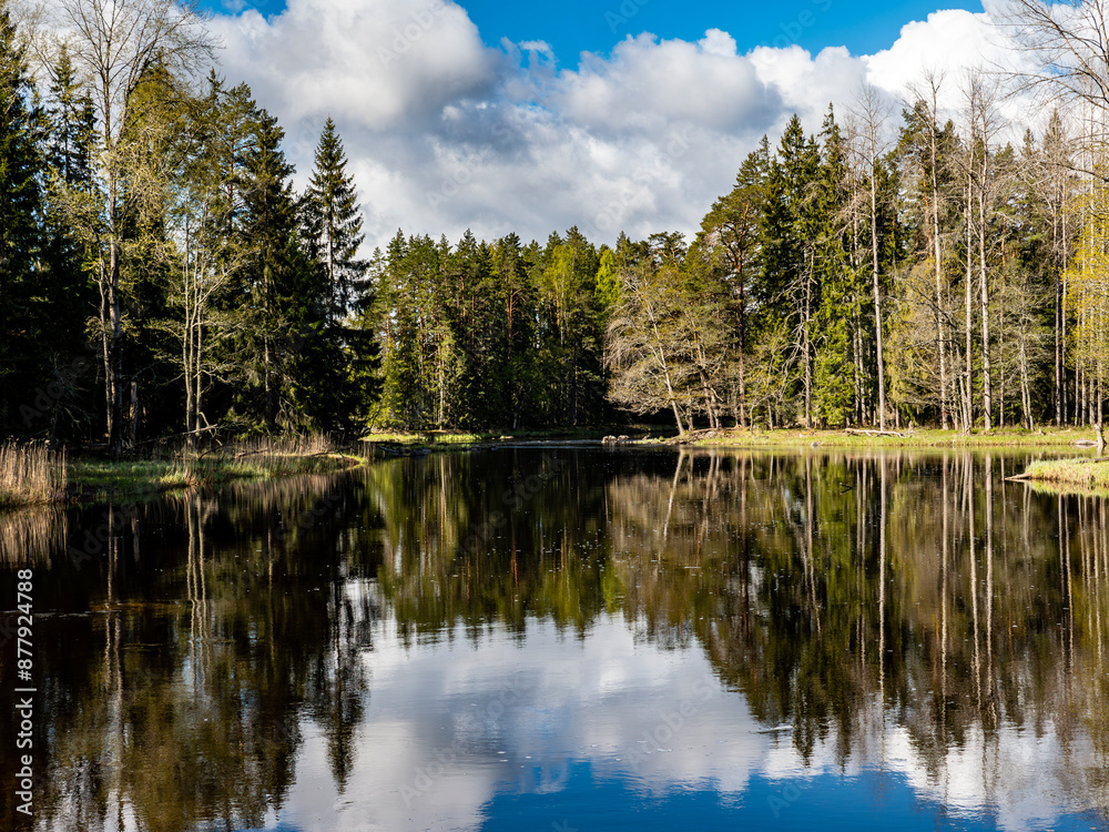 Salomon river landscapein summer. Farnebofjarden national park in north of Sweden