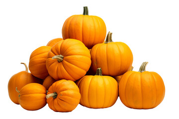Pile of harvest pumpkins with PNG transparent background for fall and halloween designs