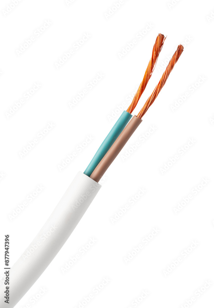 White Two-Wire Electrical Cable With Exposed Copper Wires White Two-Wire Electrical Cable With Exposed Copper Wires
