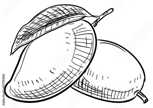 mango handdrawn illustration