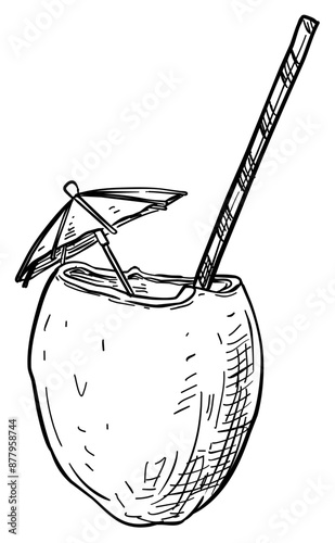 cocktail coconut handdrawn illustration