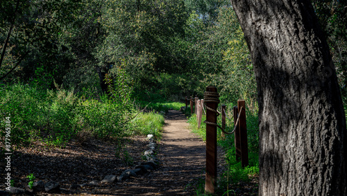 walking in the woods