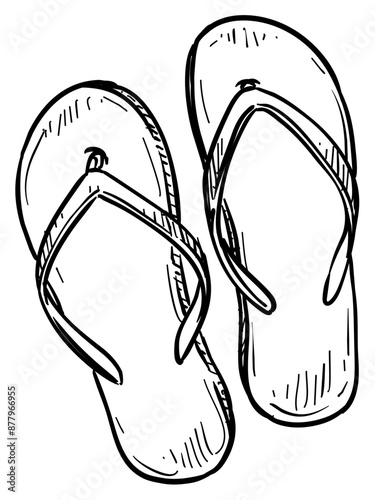 beach slippers handdrawn illustration
