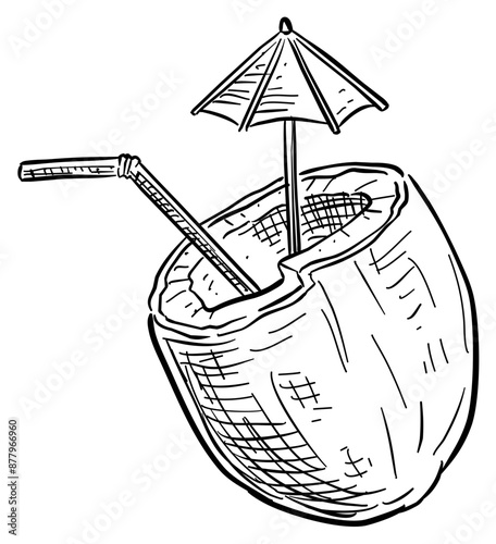 cocktail coconut handdrawn illustration