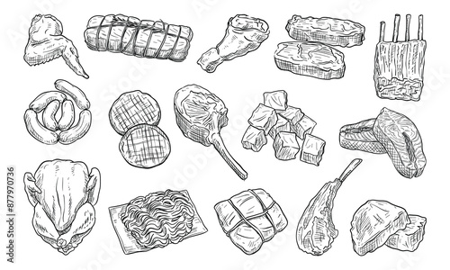 meat handdrawn collection