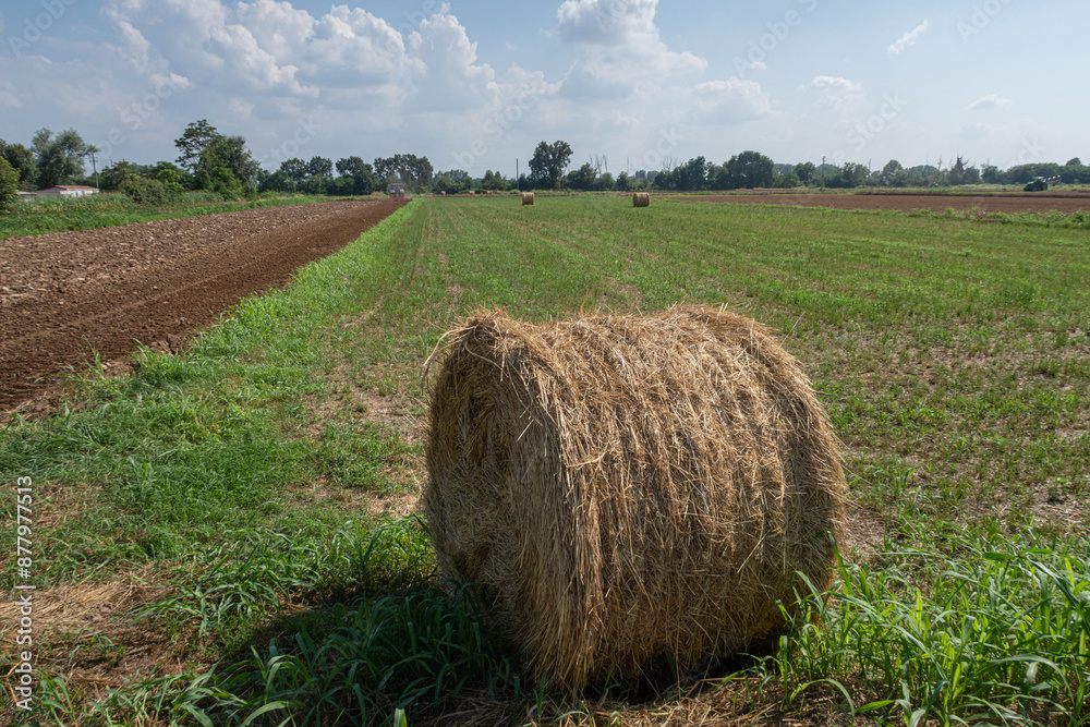 Po Valley