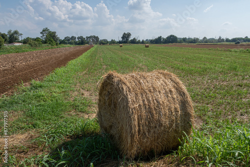 Obraz na płótnie Po Valley w salonie