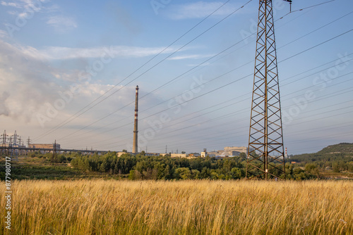 A field of tall grass with a power line tower in the background © Sergei