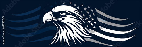 The national symbol of the USA with eagle photo