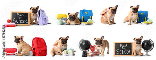 Set of cute bulldogs with s...