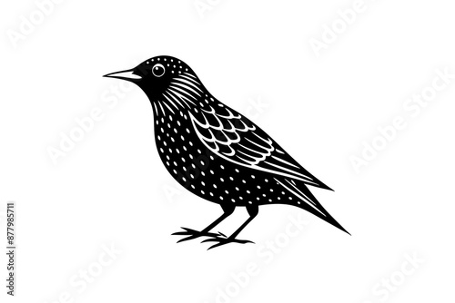 Beautiful European Starling bird lineocut vector art illustration
