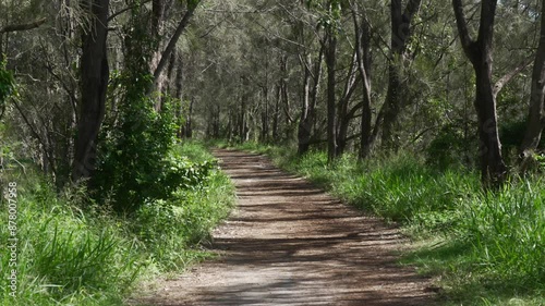 Nature patch, dirt road in forest, trees on both side patchway outdoor photo