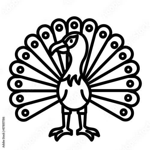 Peacock Icon