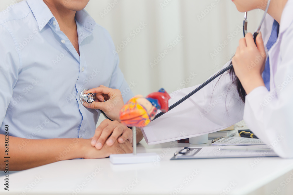 Cardiologists consult and treat patients by showing them an anatomical model of the human heart. medical concept Cardiologists consult and treat patients by showing them an anatomical model of the human heart. medical concept