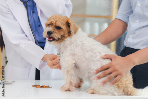 dog, hospital, pet, clinic, doctor, exam, examining, horizontal, indoor, medicine, nurse, photography, procedure, professional, specialist, veterinary, dentistry, health care, ill, occupation, operati