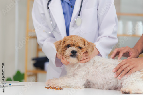 dog, hospital, pet, clinic, doctor, exam, examining, horizontal, indoor, medicine, nurse, photography, procedure, professional, specialist, veterinary, dentistry, health care, ill, occupation, operati