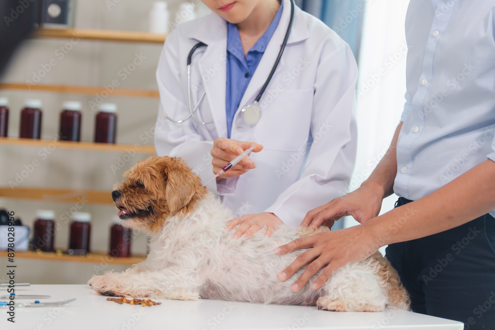 dog, hospital, pet, clinic, doctor, exam, examining, horizontal, indoor, medicine, nurse, photography, procedure, professional, specialist, veterinary, dentistry, health care, ill, occupation, operati dog, hospital, pet, clinic, doctor, exam, examining, horizontal, indoor, medicine, nurse, photography, procedure, professional, specialist, veterinary, dentistry, health care, ill, occupation, operati