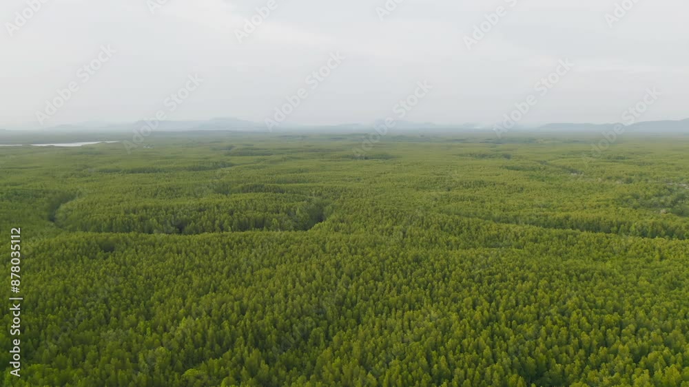 Aerial top view of lush green trees from above in tropical forest in national park and mountain or hill in summer season in Thailand. Natural landscape. Pattern texture background. Aerial top view of lush green trees from above in tropical forest in national park and mountain or hill in summer season in Thailand. Natural landscape. Pattern texture background.