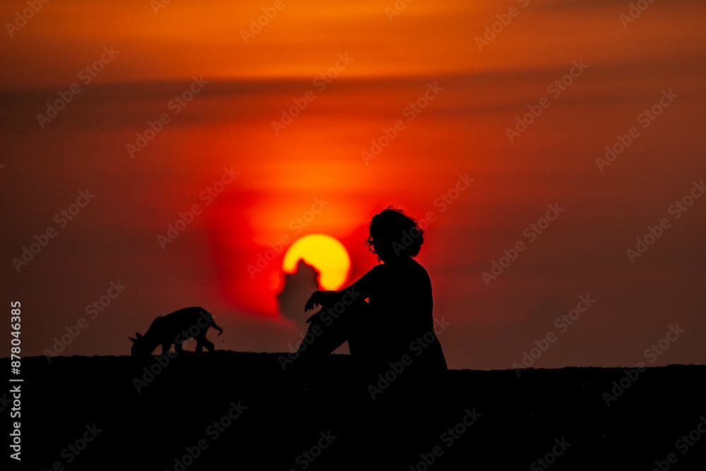 Woman sitting with dog at beach, evening, sunset Woman sitting with dog at beach, evening, sunset
