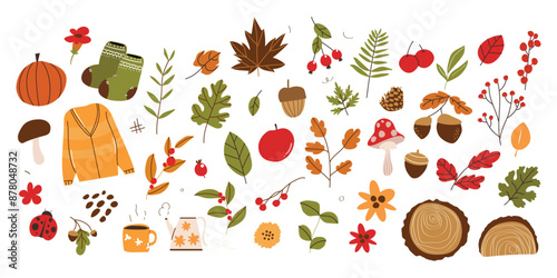 Collection of autumn element vector. Set of flowers, oak, maple leaf, leaves branch, berry, pumpkin, coat, mushroom, coffee. Hand drawn of autumn foliage design for decorative, print, graphic, card.