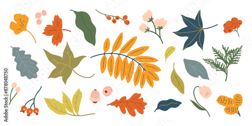 Collection of autumn element vector. Set of flowers, oak, maple leaf, leaves branch, berry, pine leaves, ginkgo, walnut. Hand drawn of autumn foliage design for decorative, print, graphic, card.