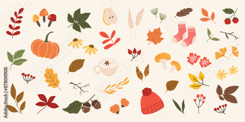 Collection of autumn element vector. Set of flowers, oak, maple, ginkgo leaf, berry, mushroom, acorn, pumpkin, sock, coffee. Hand drawn of autumn foliage design for decorative, print, graphic, card.