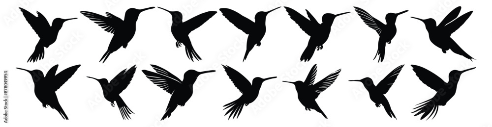 Fototapeta premium Hummingbird silhouette set vector design big pack of illustration and icon