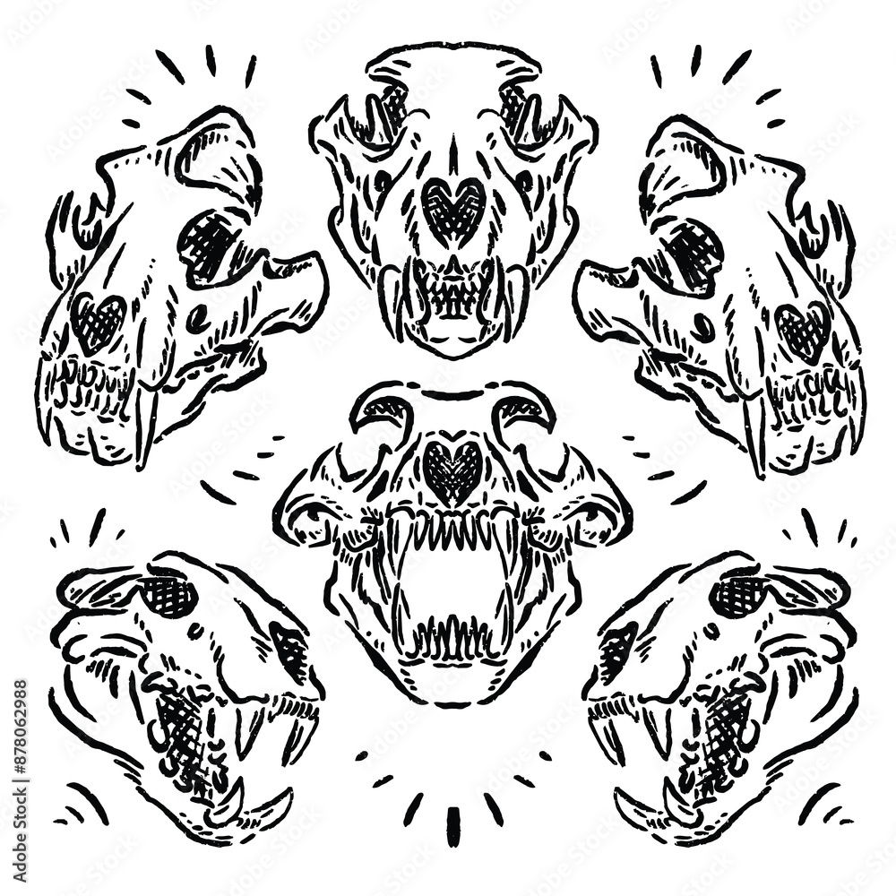 vector sketch of a wild animal's skull vector sketch of a wild animal's skull