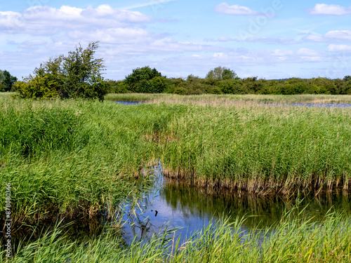 Wetland habitat in Far Ings Nature Reserve, North Lincolnshire, England