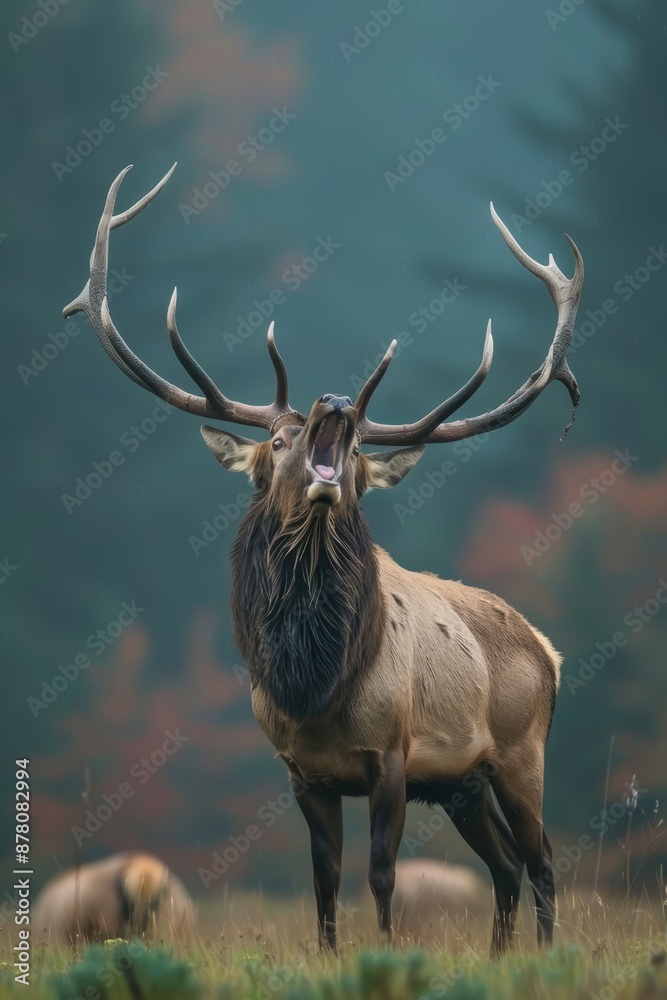 A large elk, its antlers towering, stands amidst a field of smaller elk Trees line the backdrop A large elk, its antlers towering, stands amidst a field of smaller elk Trees line the backdrop