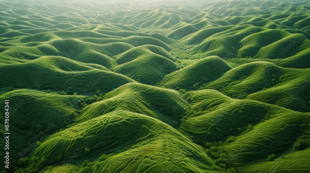 Green hills with soft, wavy contours-a serene sight of sustainable natural beauty, perfect for moments of peace.
Green hills with soft, wavy contours-a serene sight of sustainable natural beauty, perfect for moments of peace.