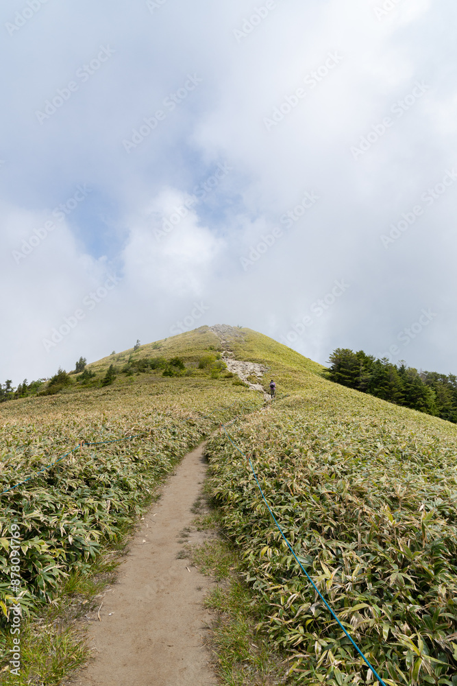 Obraz premium 爽やかな高原をハイキング 富士見台高原