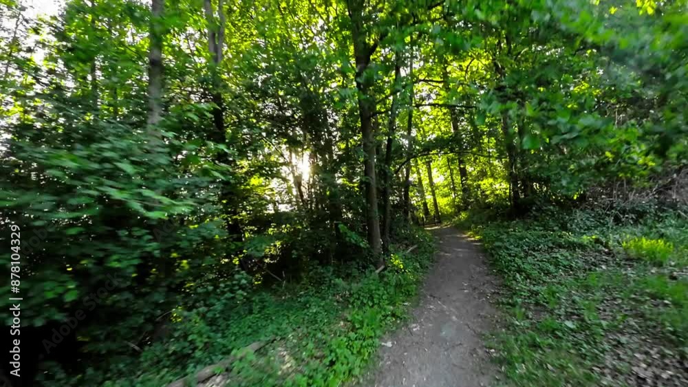 A first-person perspective video of a runner through a lush green forest. The runner is surrounded by tall grass, bushes, and trees. The sun is shining through the trees. The video is in slow motion A first-person perspective video of a runner through a lush green forest. The runner is surrounded by tall grass, bushes, and trees. The sun is shining through the trees. The video is in slow motion