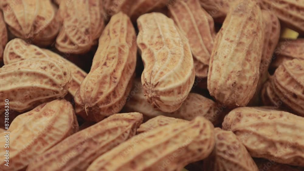 close up of peanuts close up of peanuts