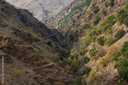 Parque Nacional de Sierra Nevada, Guejar Sierra, Andalusia, Spain, Europe