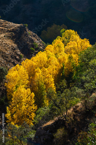 Parque Nacional de Sierra Nevada, Guejar Sierra, Andalusia, Spain, Europe