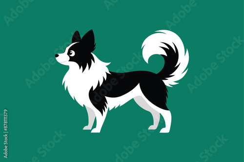 Black and white dog Papillon vector illustration 