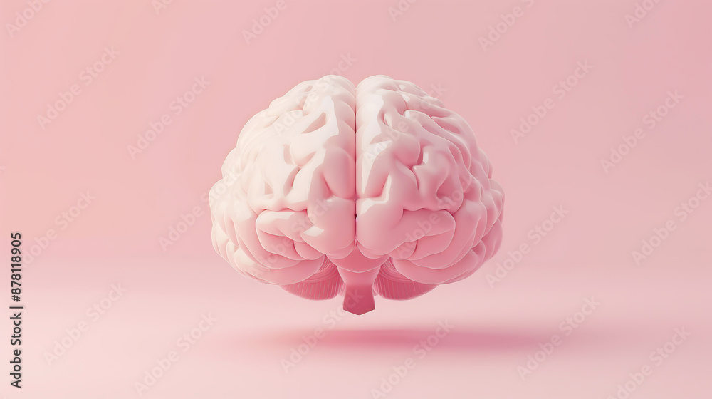 Brain human anatomy mind neutral on pink background
Brain human anatomy mind neutral on pink background