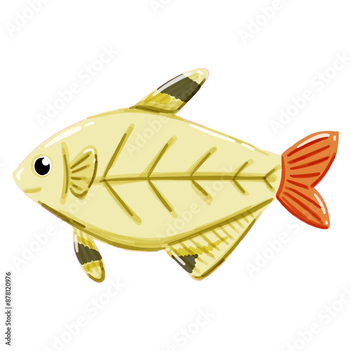 Vector image of a cute colorful X-ray fish. This illustration showcases the intricate features of an xray fish's anatomy. Perfect for educational materials and animal-themed projects. Isolated image.